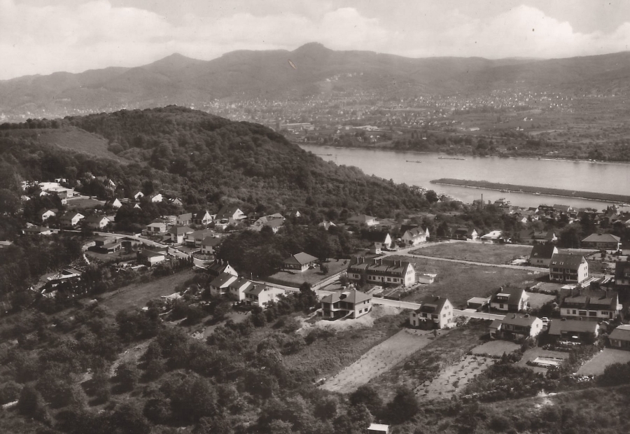 Erste Häuser auf der Rheinhöhe (Ansichtskarte um 1955)